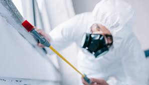 Best Pest Control for Multi-Family Homes  in Scott, LA